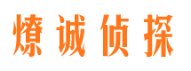 涪城市调查公司